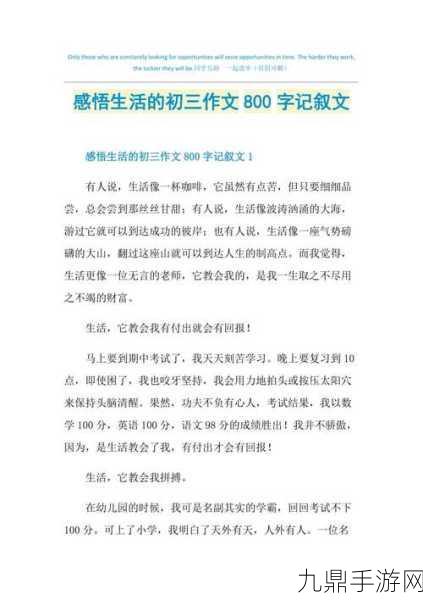 我是全公司的公共坐便作文：共享空间的重要性与责任