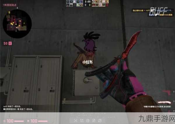 CSGO暴躁小阿姨有何特别之处：暴躁小阿姨的CSGO传奇魅力解析