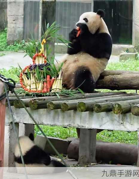 小孩半夜喂姐姐吃萝卜好吗，1. 半夜喂食萝卜，温暖姐妹情深