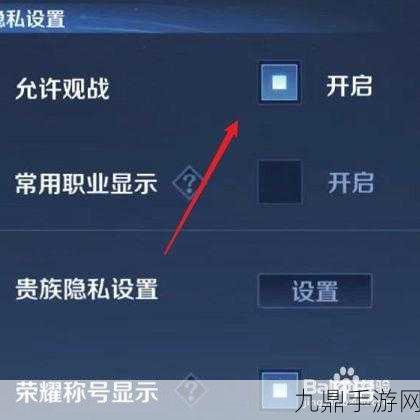 王者荣耀观战秘籍，轻松掌握观战技巧