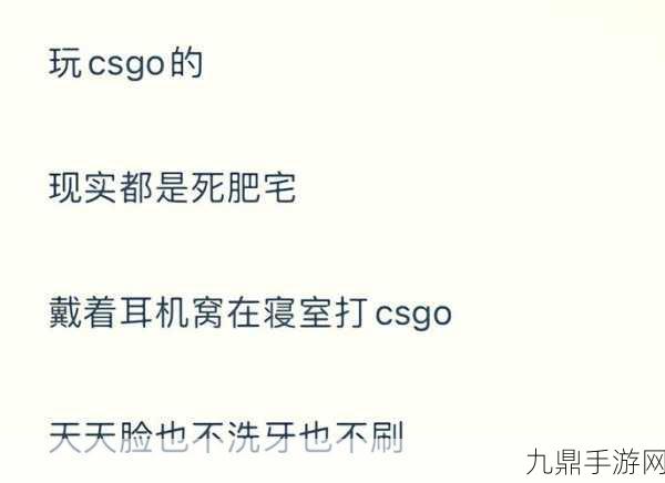 暴躁老阿姨的CS，1. 暴躁老阿姨的日常挑战：如何与邻居和平相处