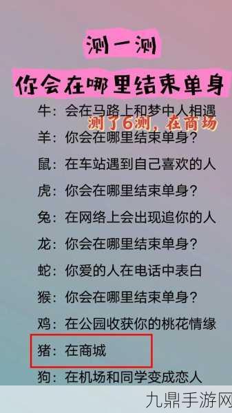 寻找爱的终点，你会在哪里结束单身