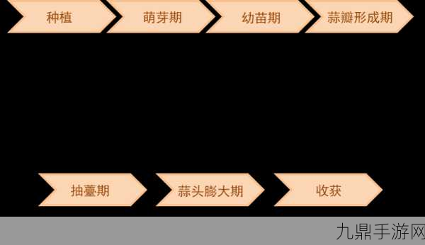 国产产区一二三产区区别在线，1. 深度解析国产农产品一二三产区的特点与差异