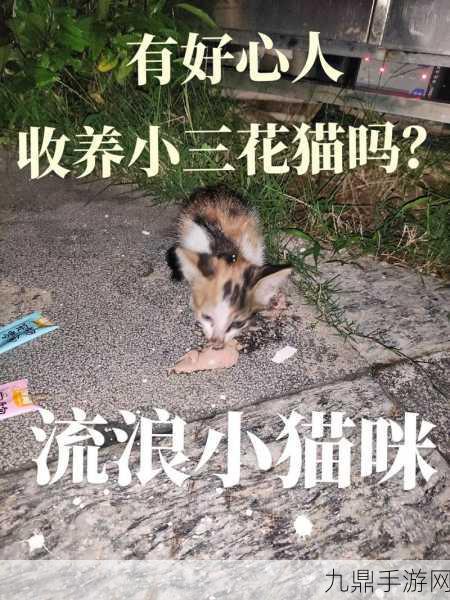 领养我，开启虚拟小猫喂养之旅