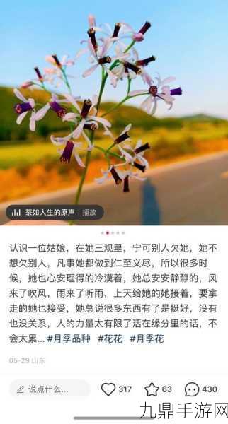 蜜芽忘忧草192.MON，根据“蜜芽忘忧草192.MON”，可以拓展出以下