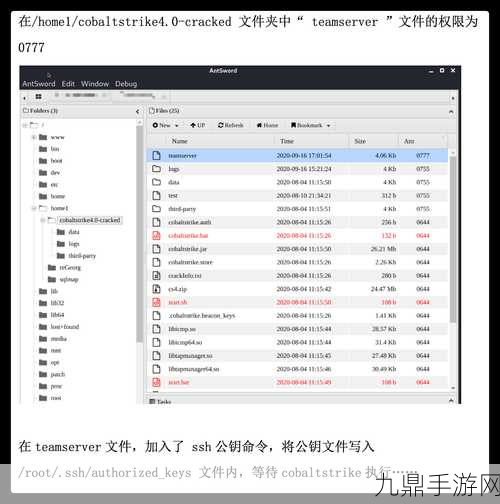 VPSWINDOWS另类极品，1. VPS Windows：实现高效云计算的最佳选择