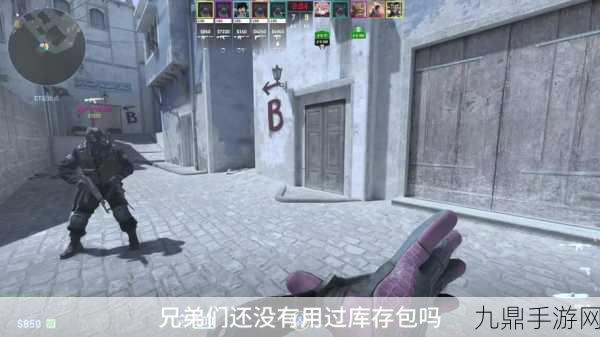 双人暴躁老阿姨csgo，1. 《双人暴躁老阿姨：CSGO战场的幽默对决