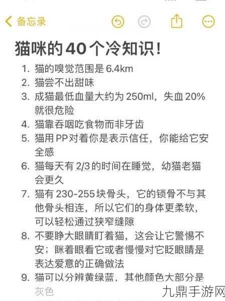 猫咪的永久地域网名是什么，1. 猫咪的秘密领地：探索它们的生活空间