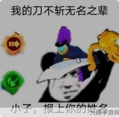 忍者乱斗大陆，表情包对决的热血战场