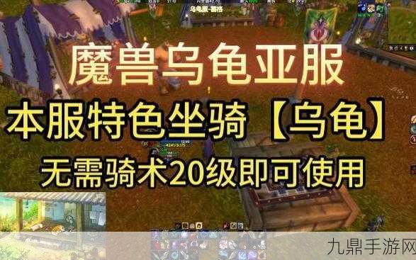 魔兽世界乌龟服，揭秘乌龟坐骑的多样获取途径