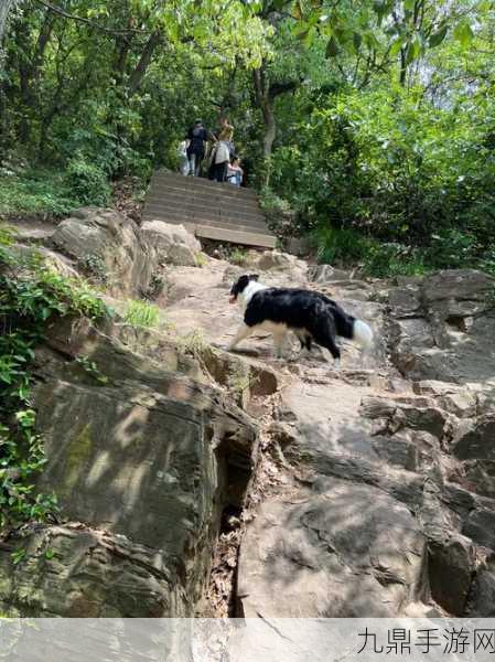 锕锕锕锕锕水都流出来了，1. 锕锕锕锕锕水流淌，心情如潮涌动