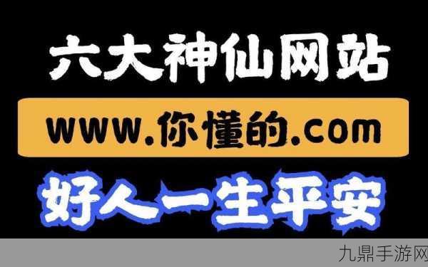 成品网站W灬源码网站，1. 深入解析W灬源码网站的功能与优势