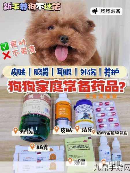 人狗胶配方大全免费，1. 探秘人狗胶配方：轻松打造家庭必备良品