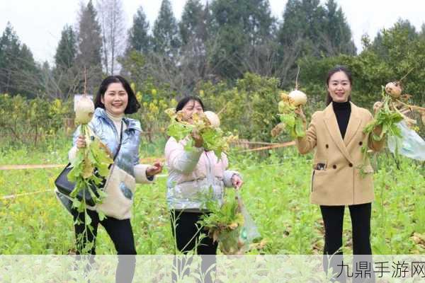 美女拔萝卜，1. 美女拔萝卜：田园生活中的趣味冒险