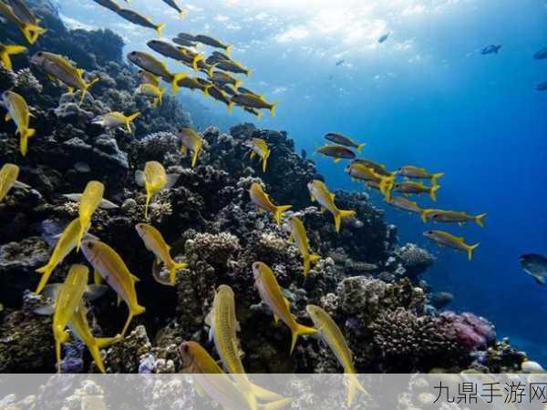 美国ZOOM动物，1. ＂探索美国ZOOM动物：奇妙生物的多样性与生态