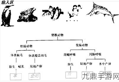 お母ちゃんいいっす什么意思，以下是根据“お母ちゃんいいっす”的主题拓展出的几个新标题，字数不少于10个字：