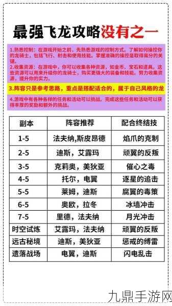 深度探索飞吧龙骑士，诺瓦欧角色综合解析与独家见解