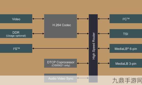 VIDEOCODECWMVIDEODECODER揭秘，探秘VIDEOCODECWMVIDEODECODER：视频解码技术的未来发展与应用