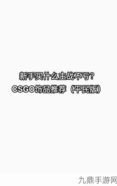 暴躁老姐的CSGO心得分享一百块就能注册，1. 一百块教你轻松上分，暴躁老姐的CSGO秘籍