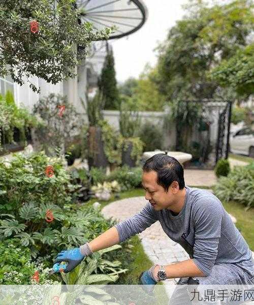 爱上种花红包版，趣味种植与赚钱的奇妙之旅