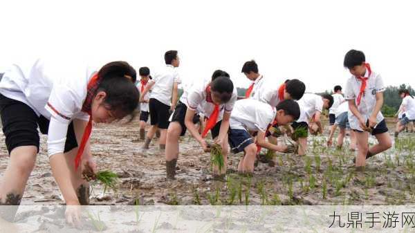 情侣的100种插秧方法，1. 《爱在稻田间：100种插秧情侣的浪漫指南