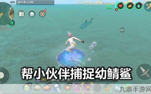 探索创造与魔法幼鲭鲨分布图，解锁海洋冒险新篇章