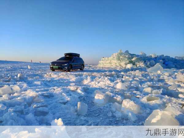 无人区的玫瑰总比野草好什么意思，1. 在荒原中绽放的希望与坚韧