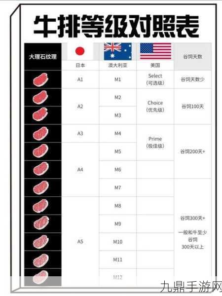 日本欧洲美国中国韩国产，好的，以下是一些关于日本、欧洲、美国、中国和韩国市场拓展的标题建议，每个标题不少于10个字：