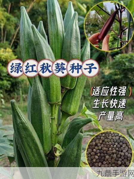 草莓樱桃丝瓜绿秋葵榴莲大全，1. 多样水果与蔬菜的营养价值全面解析