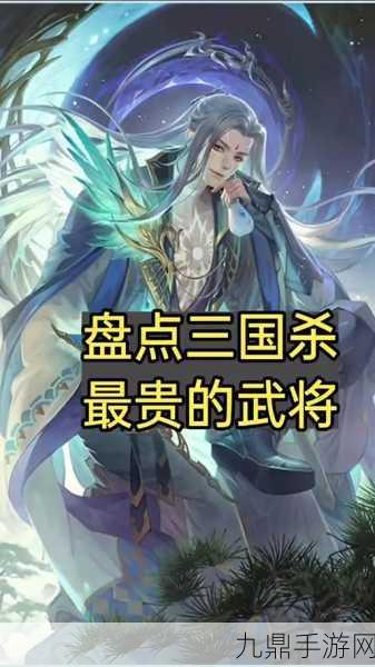 三国杀十周年神曹操价格揭秘，超值入手还是天价豪赌？