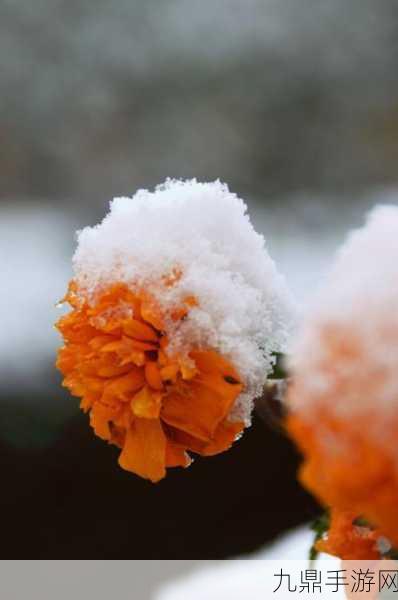 探索日系恋爱冒险之旅，雪中花手机版