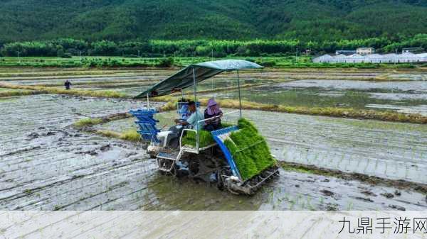 夫妻间100间插秧法人民网，1. 夫妻间的默契培养：100种插秧法解析