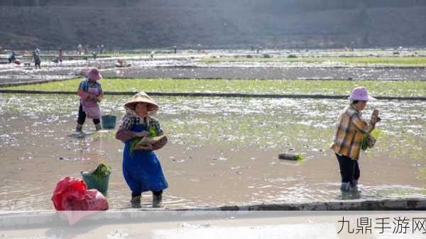 夫妻间100间插秧法人民网，1. 夫妻间的默契培养：100种插秧法解析