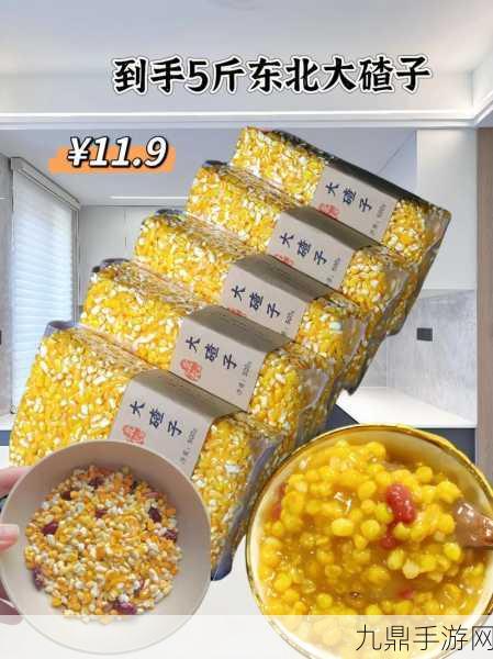 大香煮2024一人一煮介绍，1. 一人一煮：享受独特的美食体验