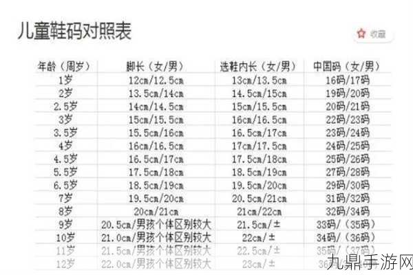 亚洲码一码二码三码区别，1. 亚洲码的分类与应用：一码、二码、三码详解