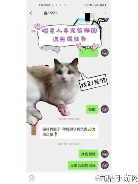 鸣潮虹镇奇遇，揭秘帮小女孩找猫任务的接取秘籍