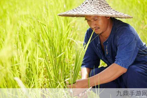 儿子耕了母亲荒废的田，1. 从荒芜到丰收：儿子重振母亲的田地