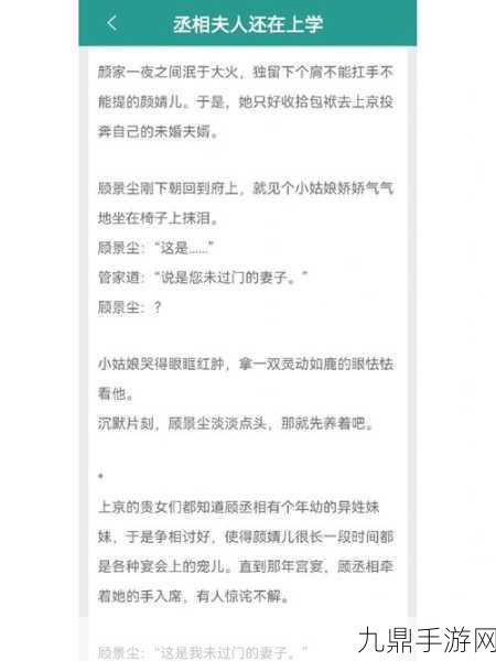 清冷丞相的爆炒日常小说视频，1. 《清冷丞相的热辣人生与美食探险