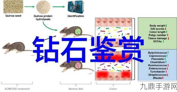 老卫把船开到河中心的故事，1. 《老卫与船：勇闯河心的冒险之旅