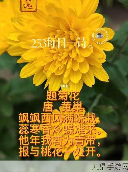 答错一题菊花放一支笔谢俞，1. 答错一题，菊花盛开：我的学习反思之旅