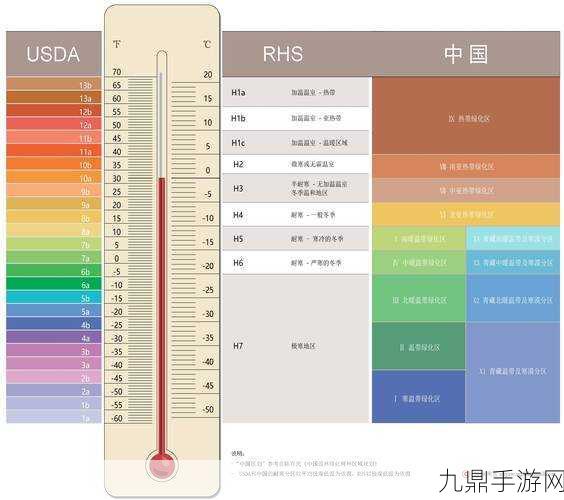 日韩一分区和二分区的区别，日韩一分区与二分区的详细比较与分析