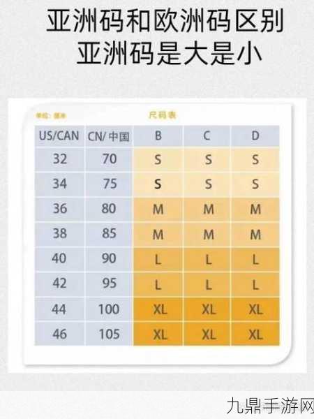 亚码l跟欧码l区别在哪，亚码与欧码的区别及其对服装选择的影响分析