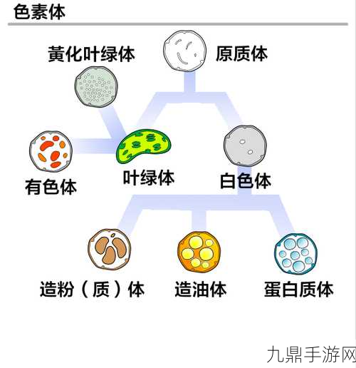 ntuser.dat，1. 深入解析ntuser.dat文件的结构与功能