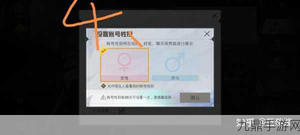 和平精英隐藏性别全攻略，保护隐私，畅享游戏