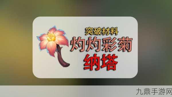 原神灼灼彩菊采集全攻略，解锁纳塔之美