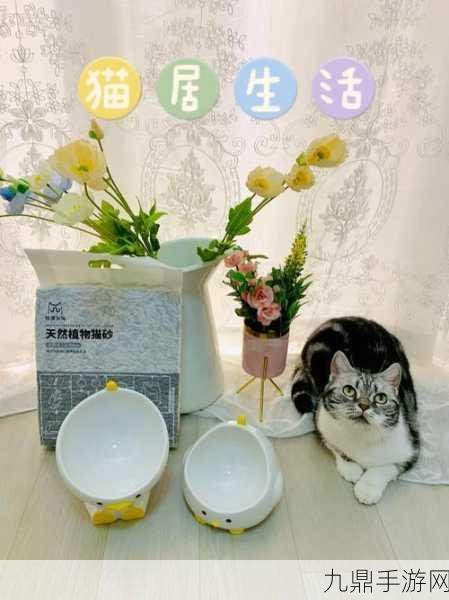 猫零食咖啡馆，萌趣无限的模拟营业之旅