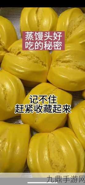 馒头的秘密，1. 《揭开馒头的秘密：从历史到制作工艺