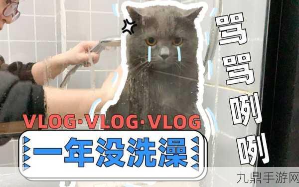 糖心短视频VLOG柠檬猫，1. 柠檬猫的日常：阳光下的小冒险