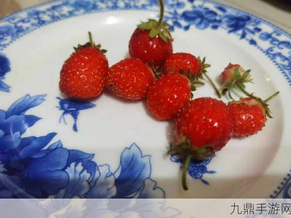 丝瓜草莓向日葵秋葵加油站，1. 丝瓜与草莓的奇妙碰撞：健康美味新体验