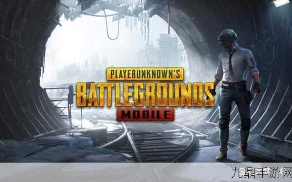 畅玩 Pubgm 国际服，吃鸡战场任我行